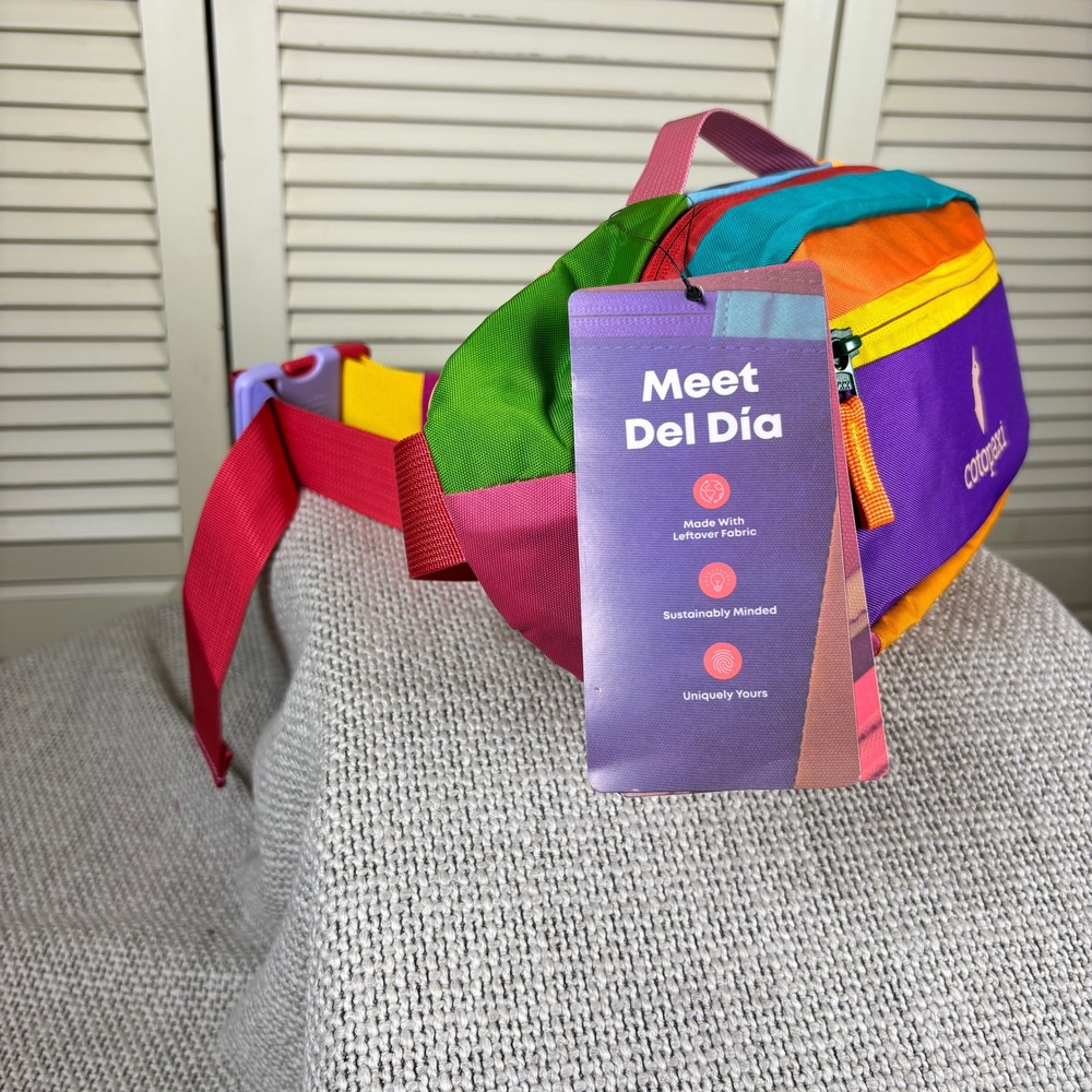 Modernist Cotopaxi Multicolor Bataan Del Dia 3L Hip Pack Fanny Pack NWT - Picture 3 of 6